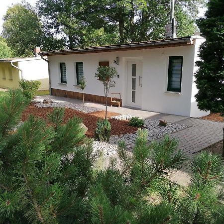 Ferienhaus Regina Neudorf  Exterior photo